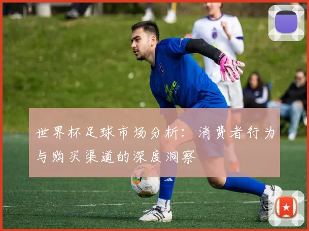 世界杯足球市场分析:消费者行为与购买渠道的深度洞察