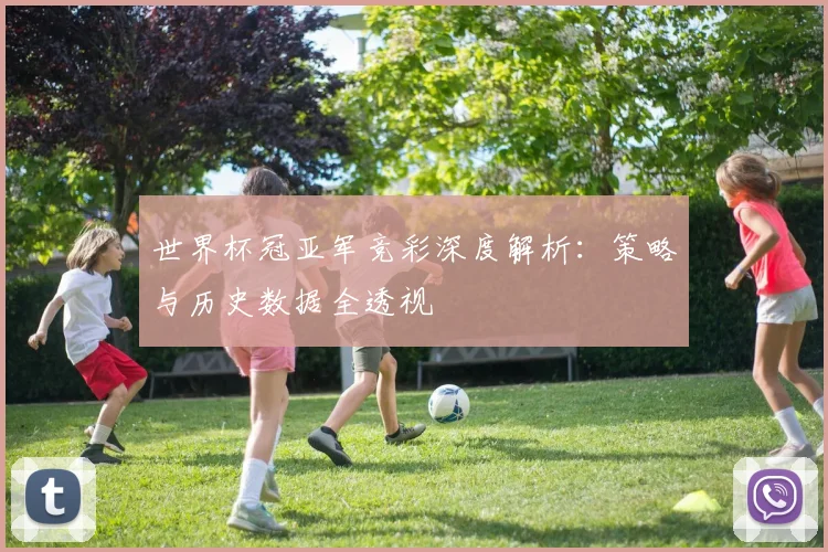 世界杯冠亚军竞彩深度解析：策略与历史数据全透视