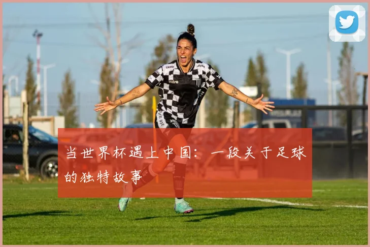 当世界杯遇上中国：一段关于足球的独特故事