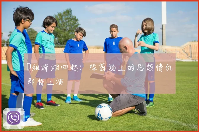 D组烽烟四起:绿茵场上的恩怨情仇即将上演